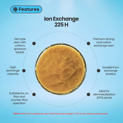 Ion Exchange INDION® 225 H | Strong Acid Cation Exchange Resin