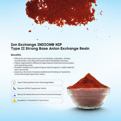 Ion Exchange INDION® NIP | Type II Strong Base Anion Exchange Resin