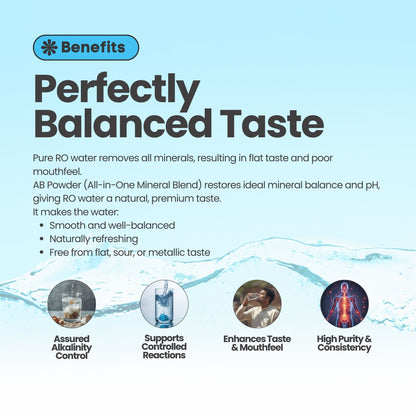 Swaad Rakshak AB Powder – Food Grade (All-in-One RO Mineral & Taste Enhancer)