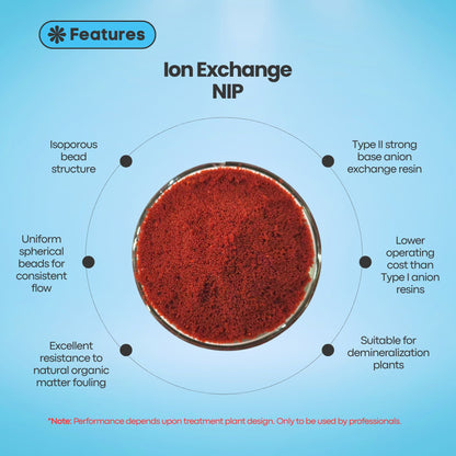 Ion Exchange INDION® NIP | Type II Strong Base Anion Exchange Resin